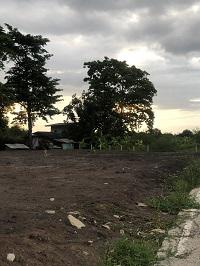 ที่ดิน 10000 ปทุมธานี สามโคก เชียงรากใหญ่ ที่ดิน 10000 ปทุมธานี สามโคก เชียงรากใหญ่