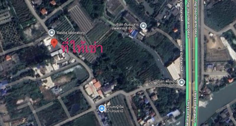 ที่ดิน 10000 ปทุมธานี สามโคก เชียงรากใหญ่ ที่ดิน 10000 ปทุมธานี สามโคก เชียงรากใหญ่